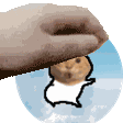 meme petpet